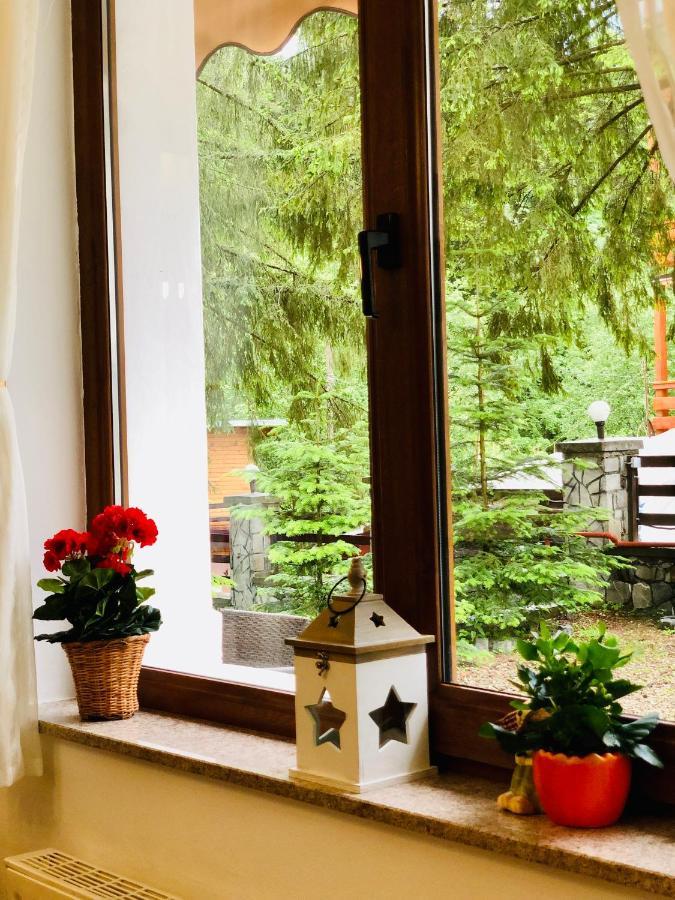 Pensiune & Restaurant Kalinder Buşteni Exteriér fotografie