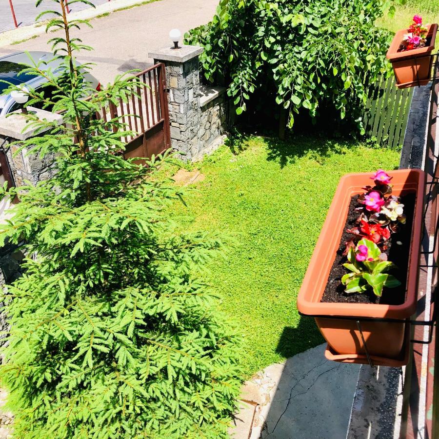 Pensiune & Restaurant Kalinder Buşteni Exteriér fotografie