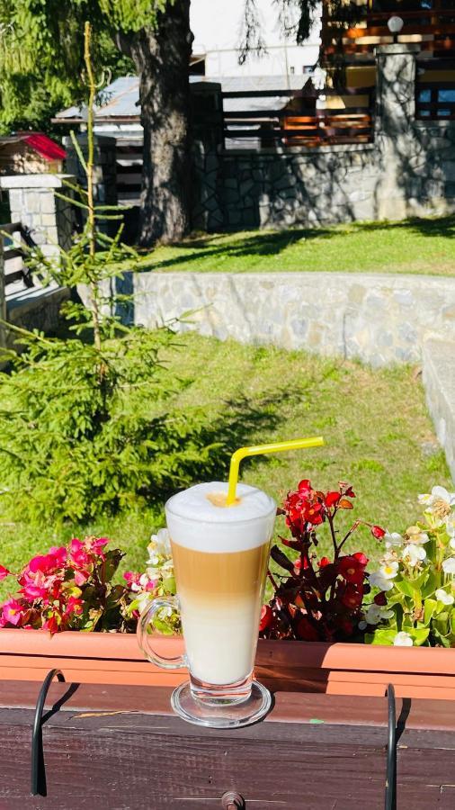 Pensiune & Restaurant Kalinder Buşteni Exteriér fotografie