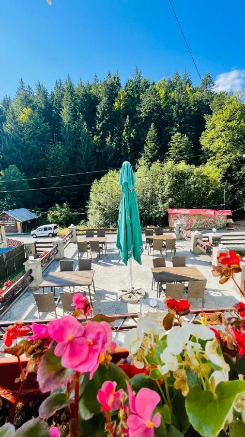 Pensiune & Restaurant Kalinder Buşteni Exteriér fotografie
